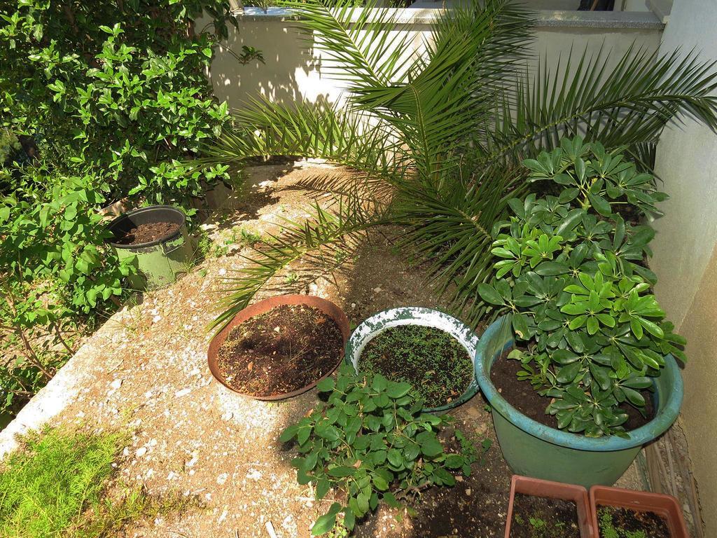 Apartments Pino Brela Ngoại thất bức ảnh